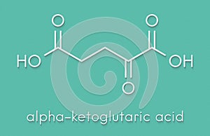 Alpha-ketoglutaric acid ketoglutarate, oxo-glutarate. Intermediate molecule in the Krebs cycle. Found to prolong lifespan in. photo