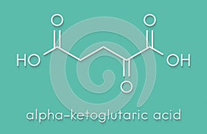 Alpha-ketoglutaric acid ketoglutarate, oxo-glutarate. Intermediate molecule in the Krebs cycle. Found to prolong lifespan in. photo