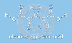 Alpha-ketoglutaric acid ketoglutarate, oxo-glutarate. Intermediate molecule in the Krebs cycle. Found to prolong lifespan in. photo