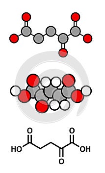 Alpha-ketoglutaric acid (ketoglutarate, oxo-glutarate). Intermediate molecule in the Krebs cycle. Found to prolong lifespan (in photo