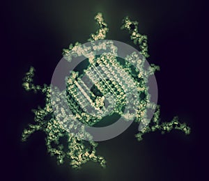 Alpha-synuclein fibril structure, determined by solid-state NMR. Thought to play a role in diseases including Parkinson`s disease photo