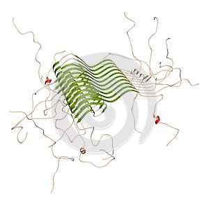 Alpha-synuclein fibril structure, determined by solid-state NMR. Thought to play a role in diseases including Parkinson`s disease photo