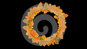 Alpha transparent animated happy thanksgiving day typography design wreath template. Background full of branches leaves