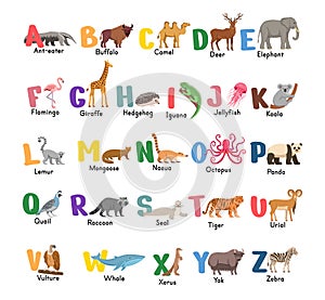 Alphabet with animals.Isolated capital letters with related animals