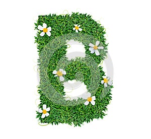 Alphabet B green grass decorate with flower