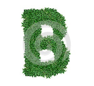 Alphabet B green grass nature font.