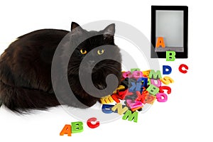 Alphabet and black cat with electronic book on white background.