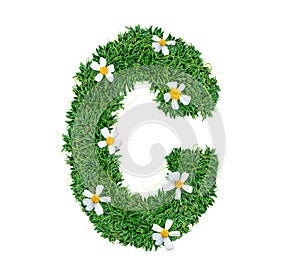 Alphabet C green grass decorate with flower