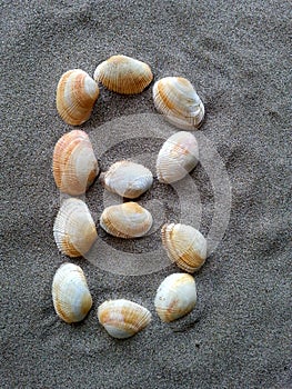 Alphabet character B created with seashells on beach-sand