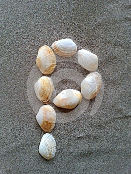 Alphabet character P created with seashells on beach-sand