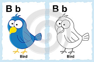 Alphabet coloring book page with outline clip art to color. Letter B. Bird. Vector animals.