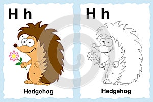 Alphabet coloring book page with outline clip art to color. Letter H.Hedgehog. Vector animals.