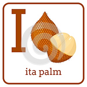 An alphabet with cute fruits, Letter I ita palm photo