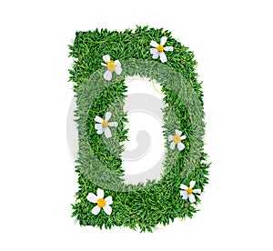 Alphabet D green grass decorate with flower