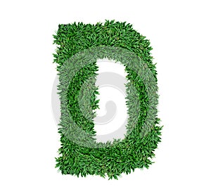 Alphabet D green grass nature font.