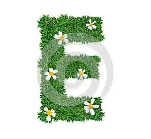 Alphabet E green grass decorate with flower