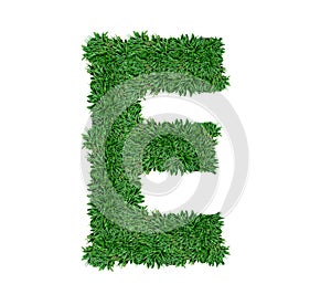 Alphabet E green grass nature font.