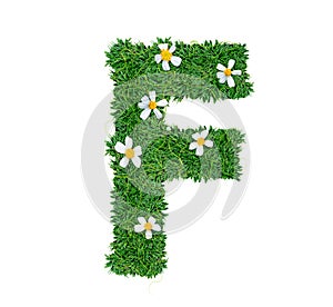 Alphabet F green grass decorate with flower