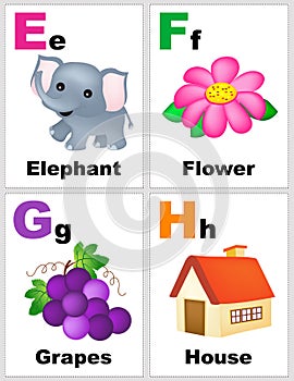 Alphabet flashcards