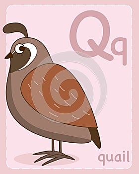 Alphabet flashcards Q with pictures