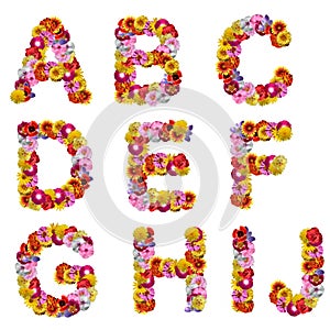Alphabet of flowers