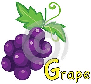 Alphabet G for grape