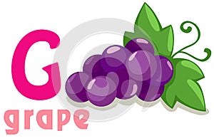 Alphabet G for grape