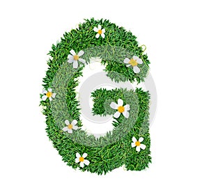 Alphabet G green grass decorate with flower