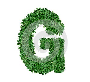 Alphabet G green grass nature font.