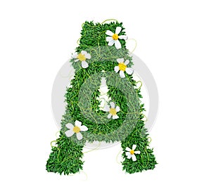 Alphabet A green grass decorate with flower