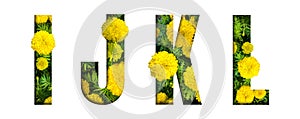 Alphabet I, J, K, L made from marigold flower font isolated on white background. Beautiful character concept