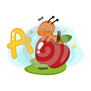 Alphabet Isolated Letter A-ant-apple