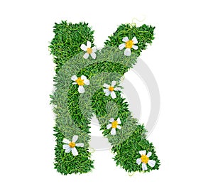 Alphabet K green grass decorate with flower