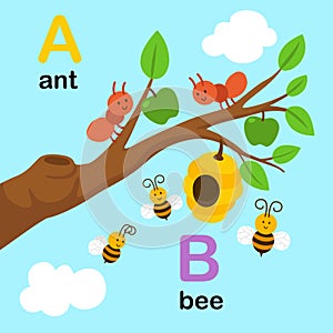 Alphabet Letter A-ant,B-bee,illustration