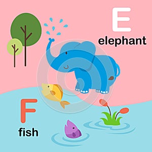 Alphabet Letter F-fish,E-elephant,illustration