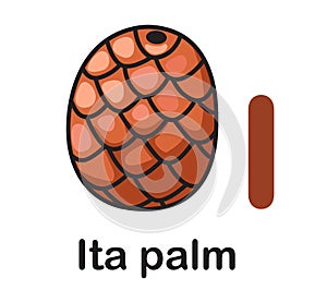 Alphabet Letter I-Ita palm