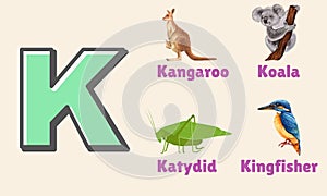 Alphabet Letter K in Pictures, animals starting with K
