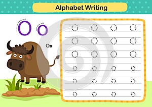 Alphabet Letter O-Ox exercise with cartoon vocabulary