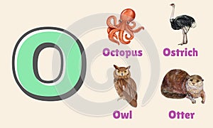 Alphabet Letter O in Pictures, animals starting with O photo