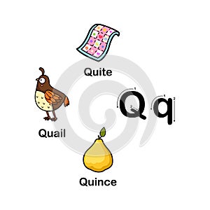 Alphabet Letter Q-quail,quince,quite photo