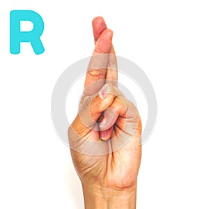 Alphabet letter R in sign language for the deaf . ASL. Hand gesture letter R on a white