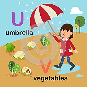 Alphabet Letter U-umbrella,V-vegetables,illustration