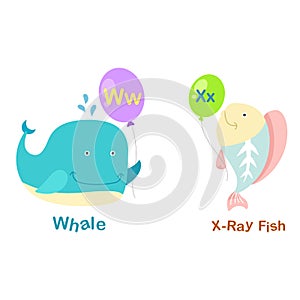 Alphabet Letter W-whale,,X-x-ray fish