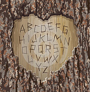 Alphabet letters carved into a tree with heart shape cut out.  Easy to edit font for your Valentine design. photo