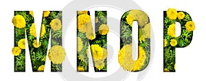 Alphabet M, N, O, P made from marigold flower font isolated on white background. Beautiful character concept