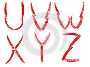 Alphabet made of red hot chili peppers. Letters U, V, W, X, Y, Z Isolated on a white background