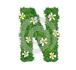 Alphabet N green grass decorate with flower