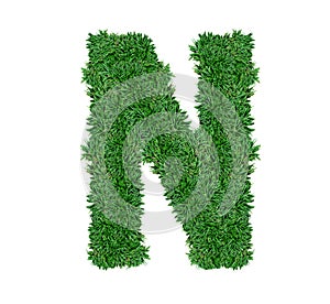 Alphabet N green grass nature font.