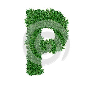 Alphabet P green grass decorate with flower