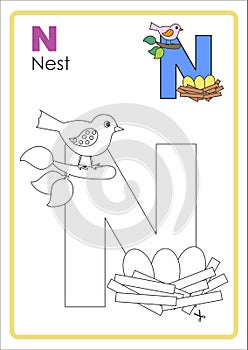 Alphabet Picture Letter `N` Colouring Page. Nest Craft.